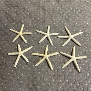 Set of Six Decorative Starfish